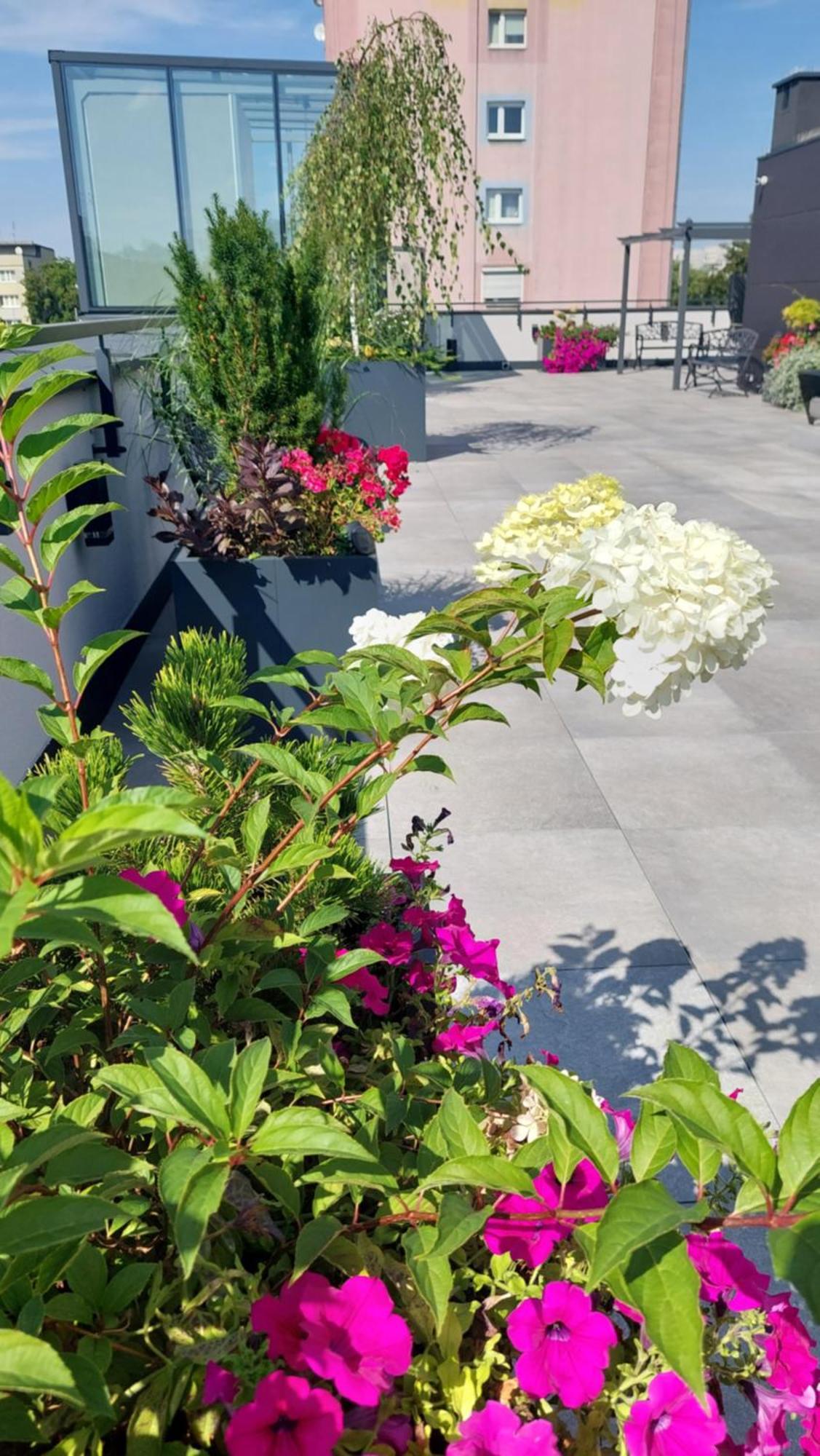 Hostel Open Garden Czestochowa