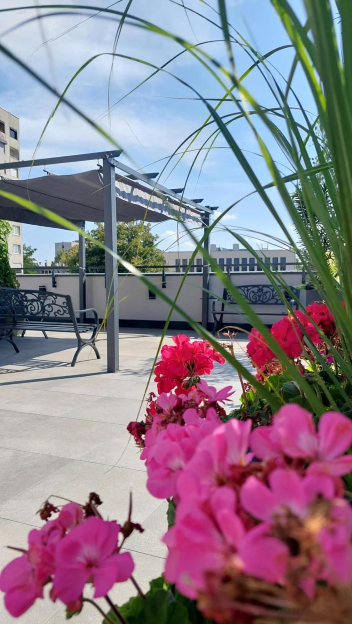 Open Garden Hostel